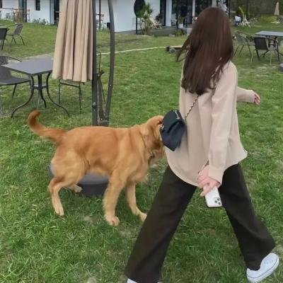 美国青年